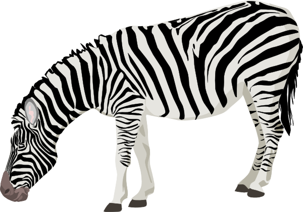 Zebra clip art
