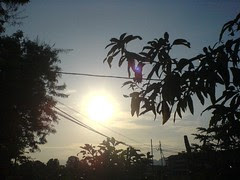 DSC00118
