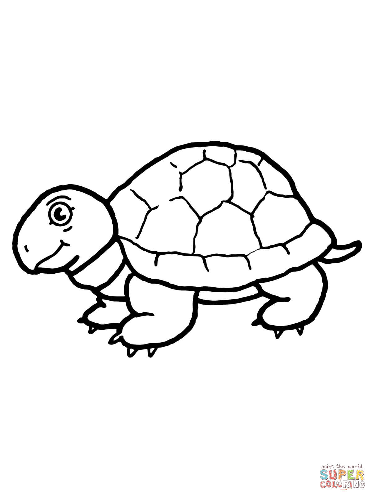 Coloring Pages Tortoise - Coloring Home