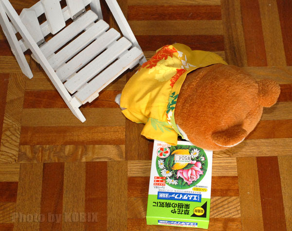 後編 プルメリアを買ったつもりでサビ病を買う Kobiのシークレットガーデン 観葉植物 多肉植物の育て方
