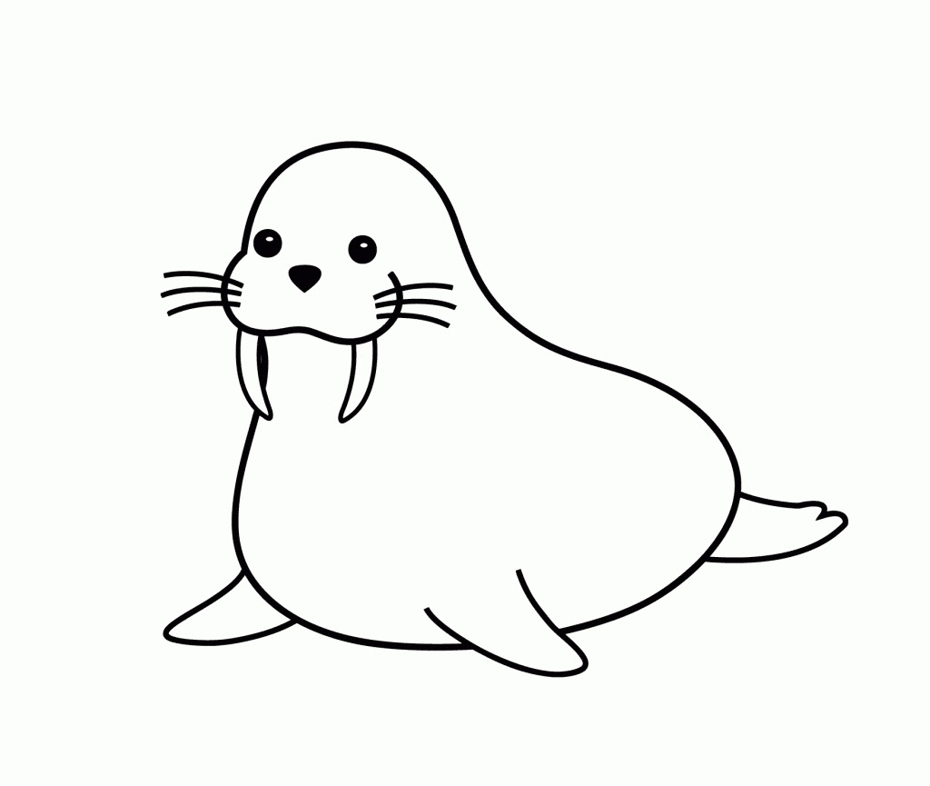 Download Walrus Drawing | Free download on ClipArtMag
