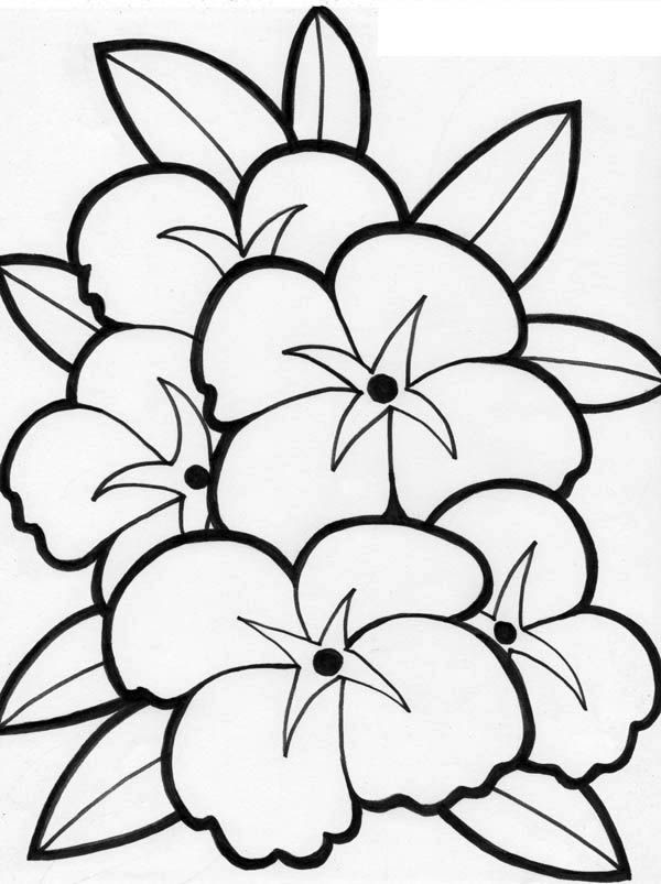 Hibiscus Flower Coloring Page - Coloring Home