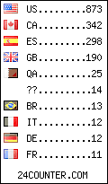 visitors by country counter
