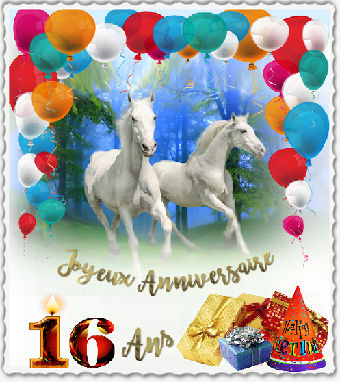 16 Ans Joyeux Anniversaire Chevaux Ballons Cadeaux