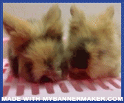 Create your own banner at mybannermaker.com!