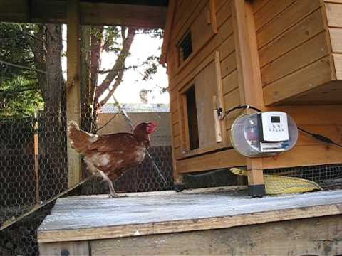 Home Made Automatic Horizontal Chicken Coop Door Opener - YouTube