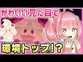 ++ 50 ++ デコレーション ポケモン 285841-ポケモン剣盾 デコレーション