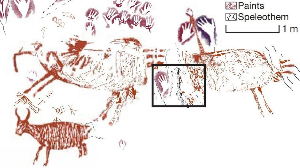 Así es la primera pintura de animales hecha por el hombre, descubierta en  una cueva - BBC News Mundo