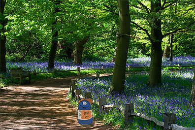 Kew Gardens