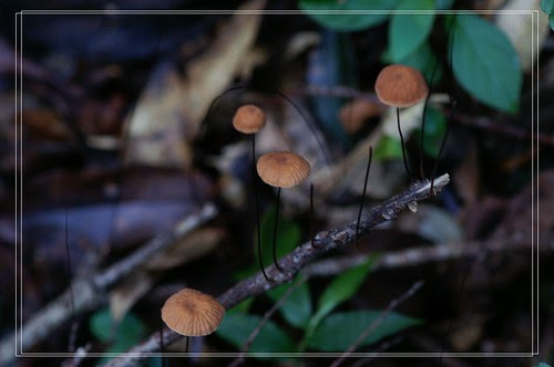 PICT8365
