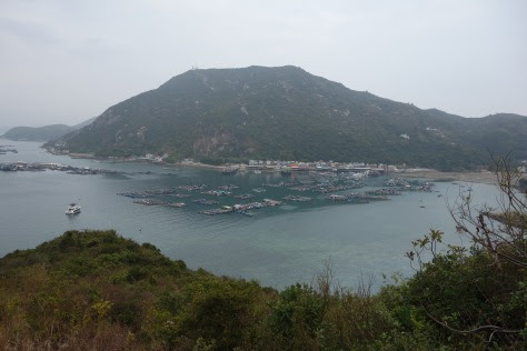 DSC06225