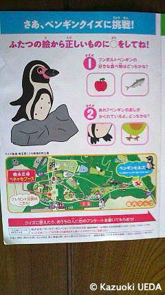 正確には動物園の中なんですが こんな ペンギンクイズラリー がありました ペンギン会議研究員 上田一生 Official Web Site