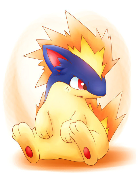 マグマラシ Pixiv年鑑 B