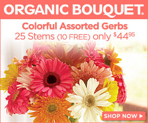 evergreen Wreaths on Sale at OrganicBouquet.com