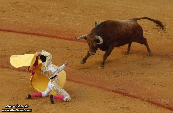 صور حول العالم : اغتيال بن لادن + أطول سيجار في العالم .. والمزيد