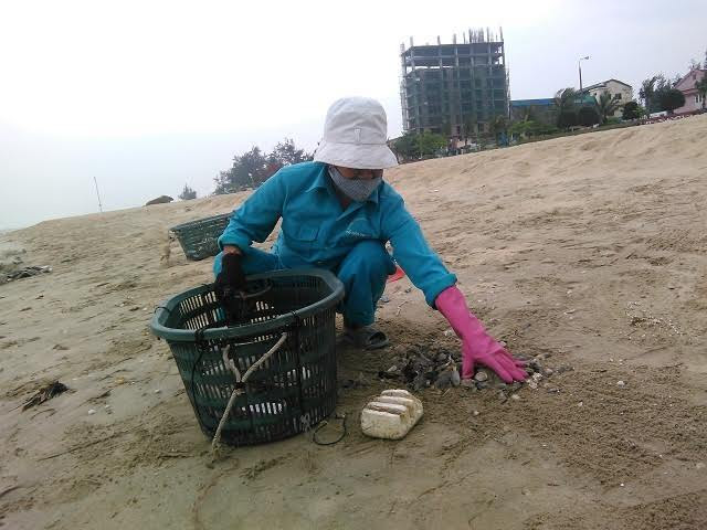 cá chết trắng bờ biển
