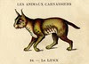 casino lynx