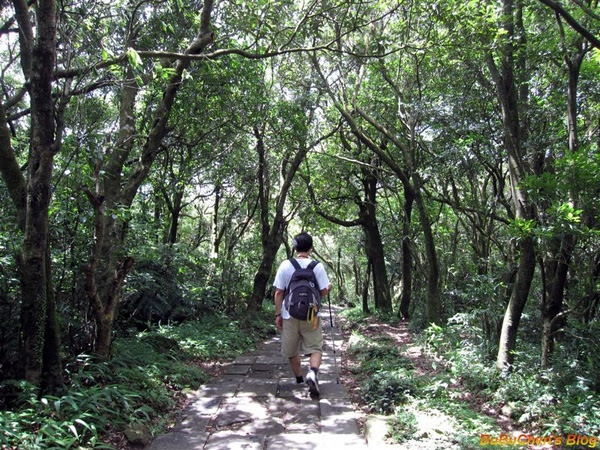 2009_0718_105712.JPG