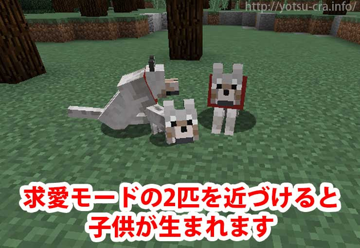 マインクラフト 狼の見つけ方 捕まえ方 繁殖方法も徹底解説