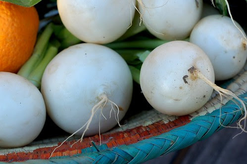 Gorgeous young turnips