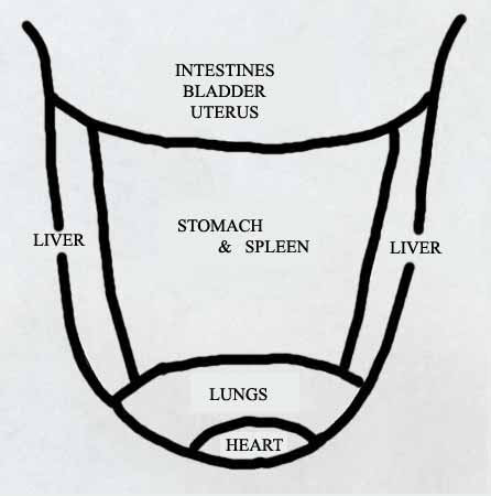 parts of the tongue panorama