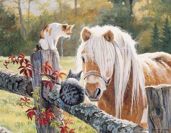 ANIMAUX:chevaux-HORSES