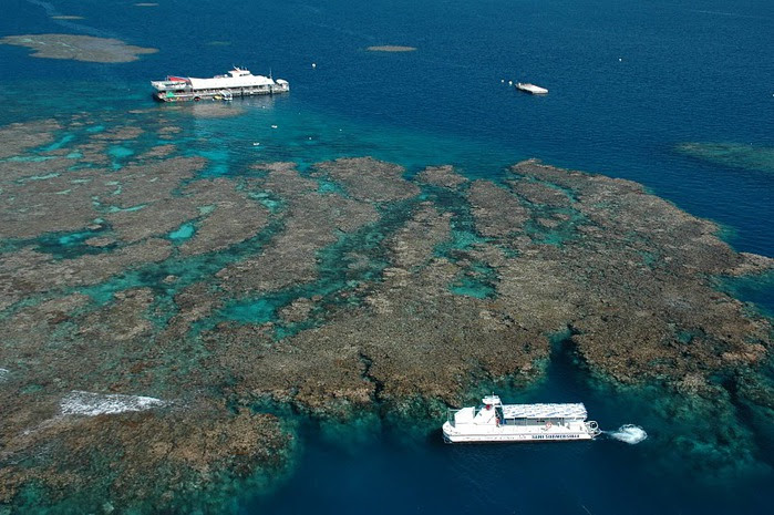 Восьмое чудо света - Большой Барьерный риф Австралии-Great Barrier Reef 58291