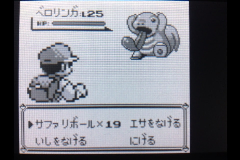 ポケットモンスターを遊びつくす日記 第7話 うさぎの隠れ家