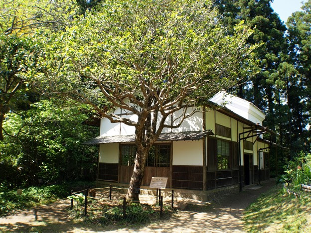 森野旧薬園09知止荘 写真共有サイト フォト蔵