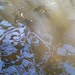 IMG_20121018_141556