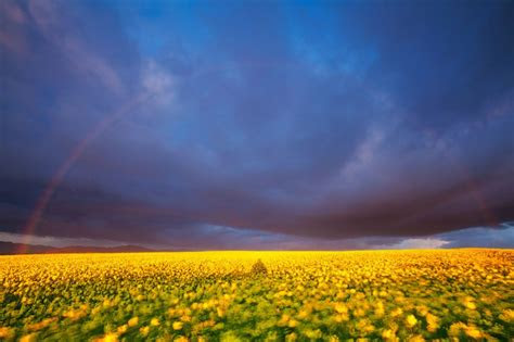 stunning south africa  hougaard malan  pics