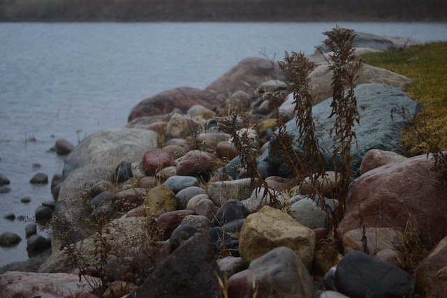 DSC_0060