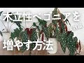 木立 ベゴニア 育て 方 267312-木立 ベゴニア の 育て 方