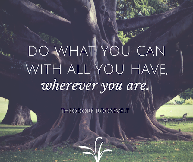 do-what-you-can-with-all-you-have