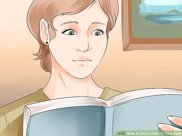 Attract Bats to Your Yard Step 3.jpg