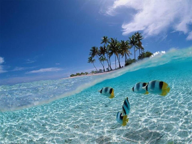 綺麗で癒される真夏の海の高画質画像まとめ 写真まとめサイト Pictas