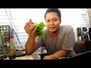 Ketahui Cara Membuat Ramuan Obat Sembelit Alami Dari Daun Jarak Pagar, Paling Dicari!