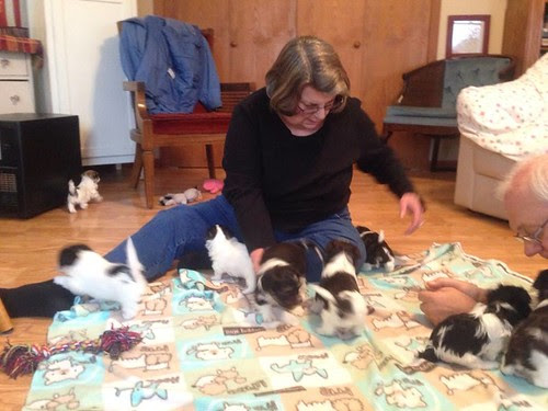 Me & DH with ten 5 week old puppies, yesterday!  Eikes!