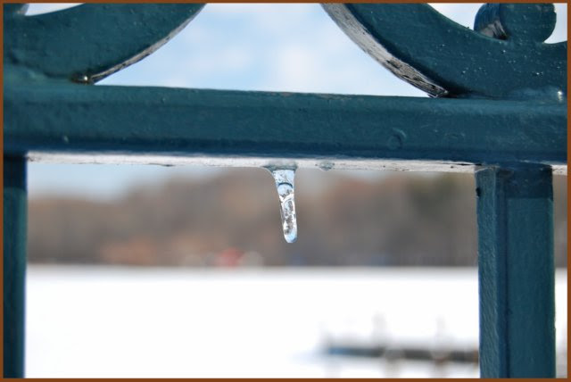 baby icicle