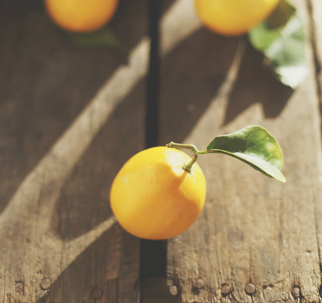 meyer lemon