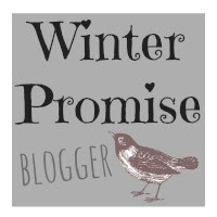 WinterPromise