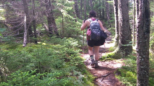 Mount Carter 2013