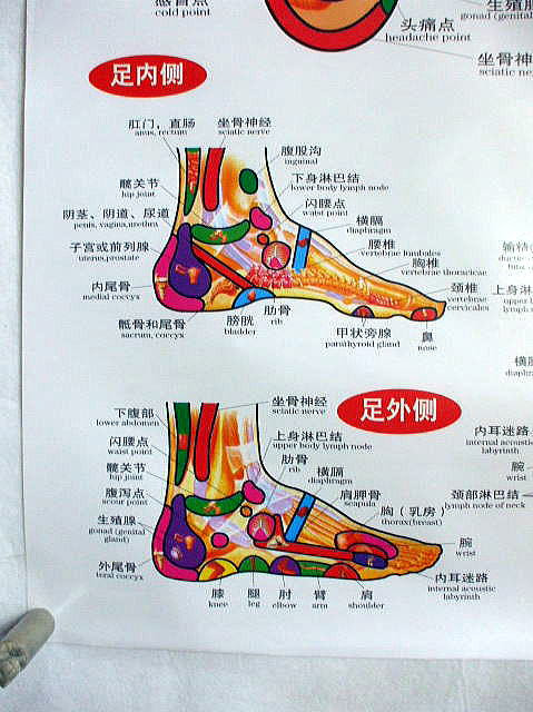 中国式 足つぼ図 ポスター 足部反射区健康療法図