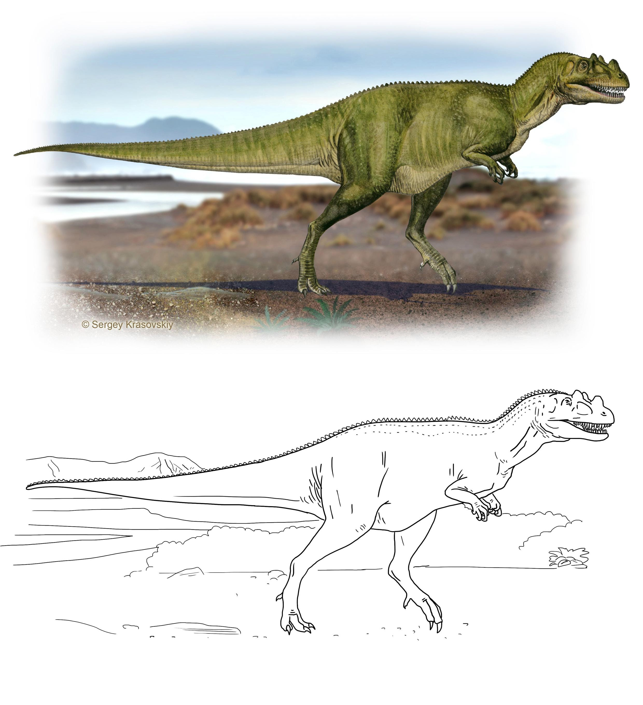 ceratosaurus