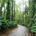 Coorg-4