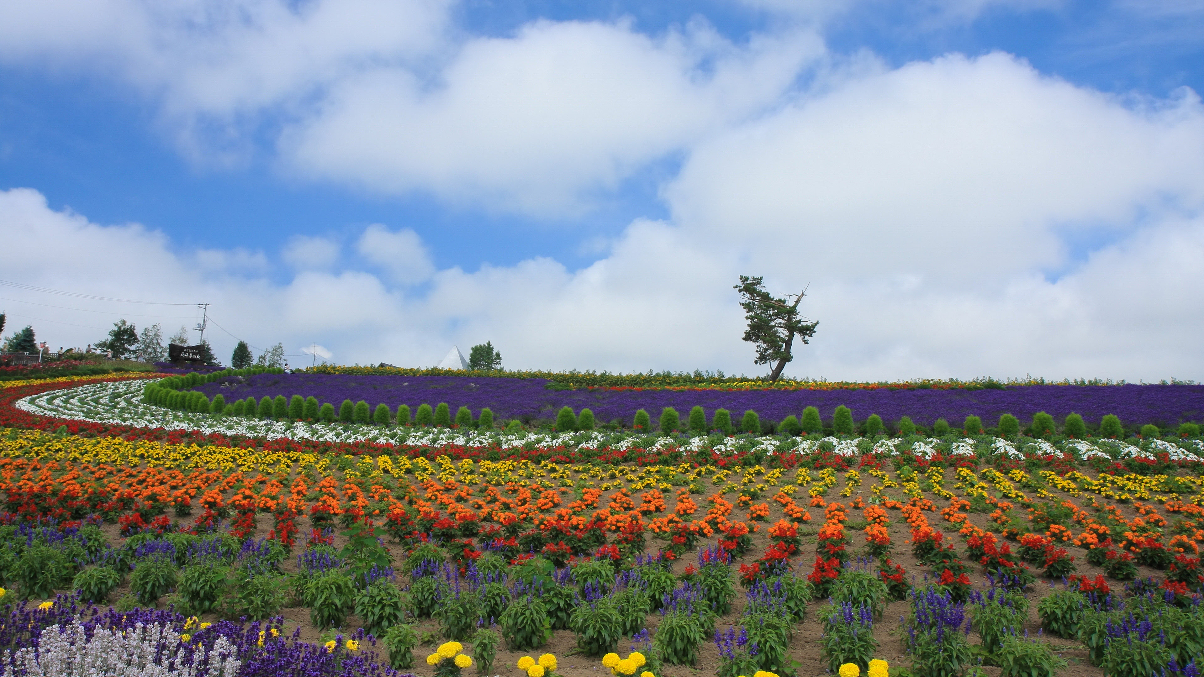 4k壁紙 08年北海道その3 壁紙 日々駄文