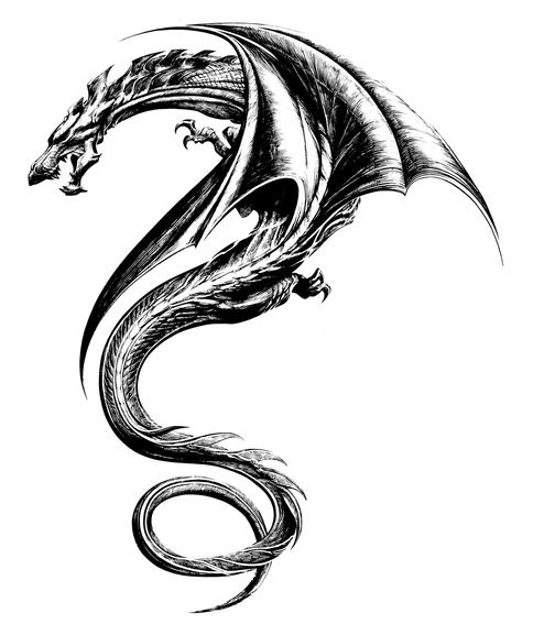 Free Graphic Design Tattoo Download Free Clip Art Free Clip Art On Clipart Library