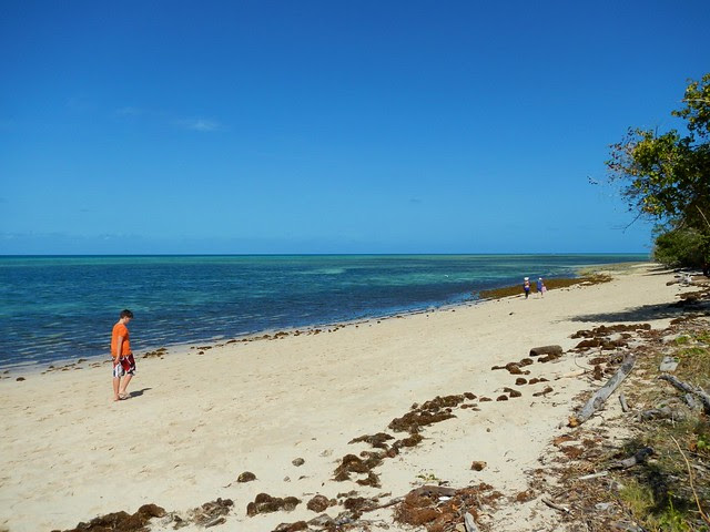 Tropical Beach