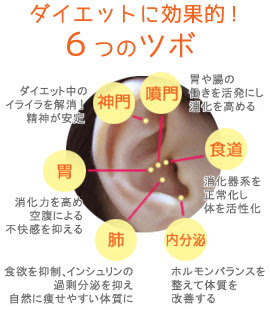 耳つぼダイエット 回復整体おきなわ 西原町の痛くない整体 腰痛 ヘルニア 肩こり 股関節 ｄｒｔ 水素風呂リタライフ