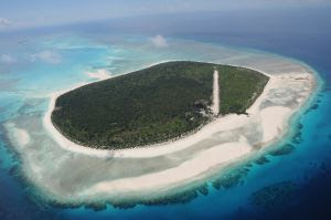 R seau ALERT Site ILES EPARSES R seau ALERT Site ILES EPARSES